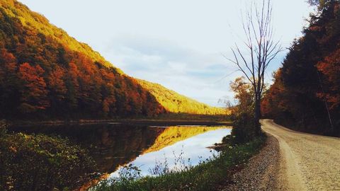 op script for can farm keyless - Universal script preview