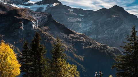 op script for can farm keyless - Universal script preview