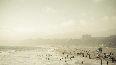 op script for can farm keyless - Universal script preview