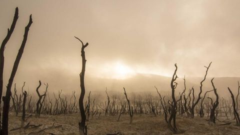 op script exp farm kill - Universal script preview