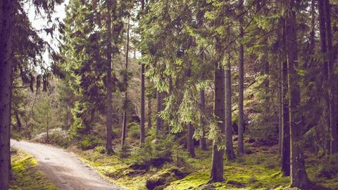 op script exp farm kill - Universal script preview