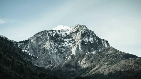 op script exp farm kill - Universal script preview