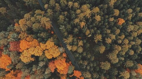 BEST OP Script GUI FREE - Universal script preview