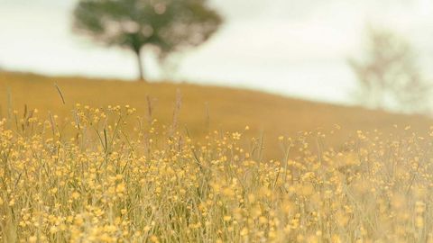 BEST OP Script GUI FREE - Universal script preview