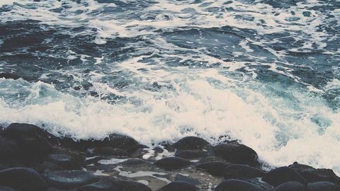 op script exp farm kill - Universal script preview