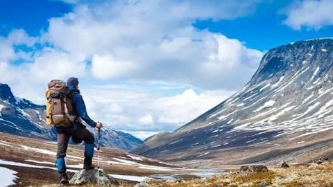 bajjek - Universal script preview