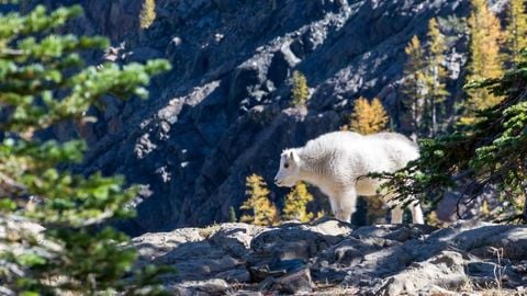 BEST HUB 8 SUPPORTED GAMES - Universal script preview