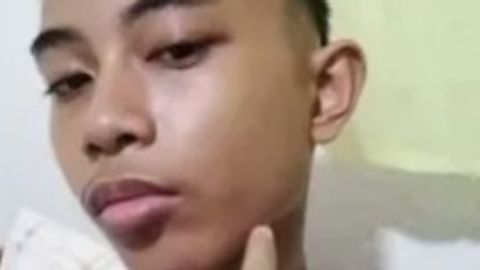 gan hub - Universal script preview