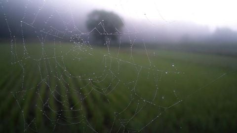 op duel script - Universal script preview