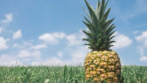 Lucid Hub - Universal script preview