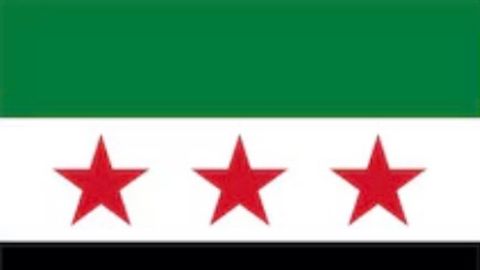 Nines hub - Universal script preview