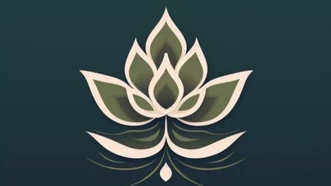 Lotus optimization HUB - Universal script preview