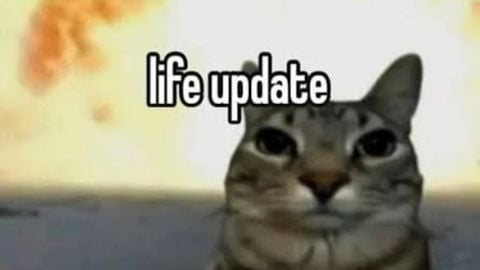 Elpiyo HUB Music Stealer - Universal script preview