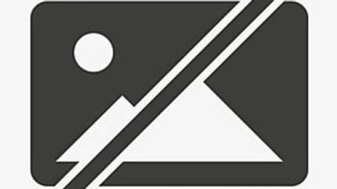 Wallhop Pro auto paid - Universal script preview