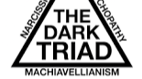 Dark Triad Hub 4 - Unknown script preview