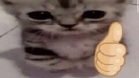 Coisaskoo - Unknown script preview