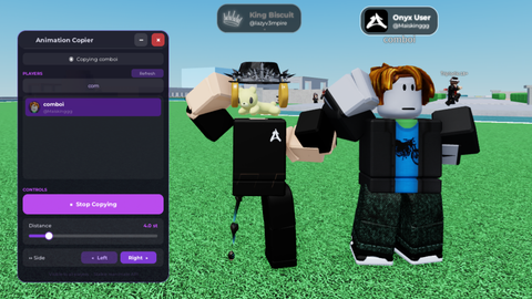 Onyx Animation Copier - Unknown script preview