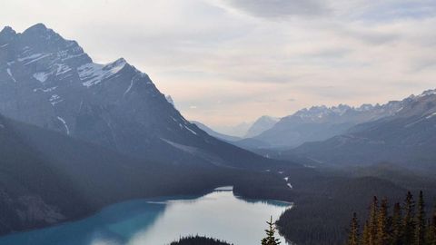 asdfawf - Unknown script preview