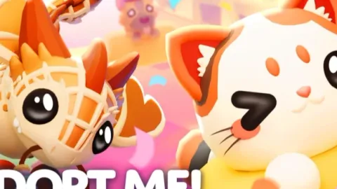 Op script no key - Unknown script preview