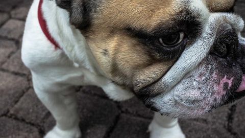 BEST OP PVP DUEL INFINITE JUMP 10 MORE FEATURES - Unknown script preview