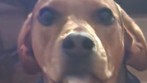 THE FLASH - Unknown script preview