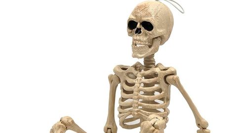 jjs best script keyless lol eskibidi - Universal script preview