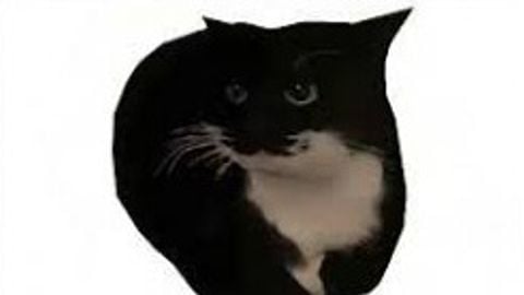 Boostellar Key Bypass - Unknown script preview