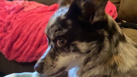 Free Auto Joiner - Unknown script preview