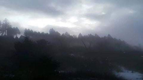 Flick script - Universal script preview