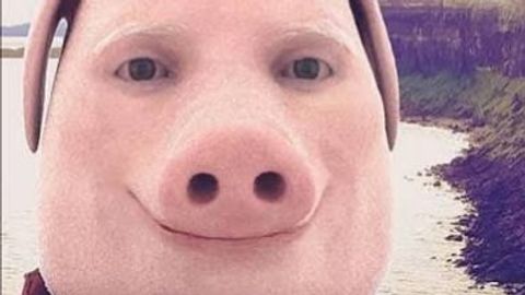 Vertex Cracked - Unknown script preview