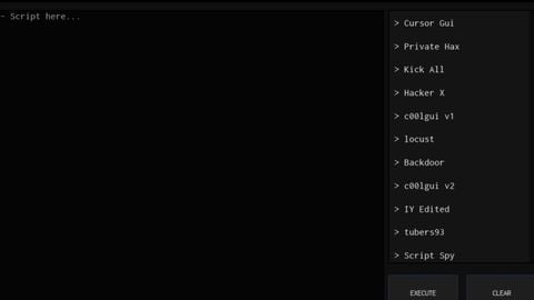 Babyoutmoon2o22 rc7 SS executor - Unknown script preview