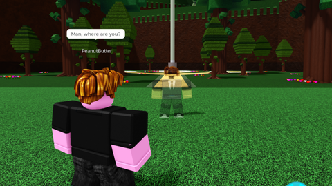 FE Invisibility Script - Unknown script preview