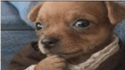 Happy Hub SS - Unknown script preview