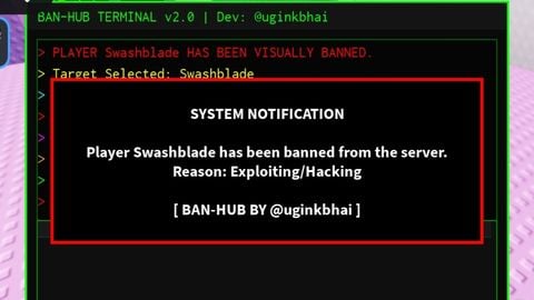 Banner HUB Script Terminal - Unknown script preview