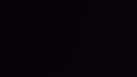 Fly Script - Unknown script preview