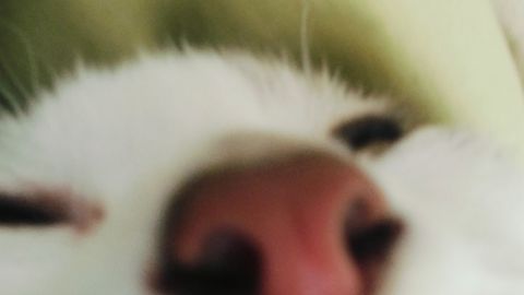 Saul Jumpscare Lua - Unknown script preview