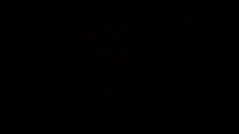 Primavera - Unknown script preview