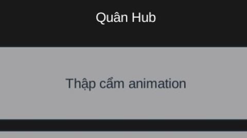 QuanHub | mixed animation - Unknown script preview