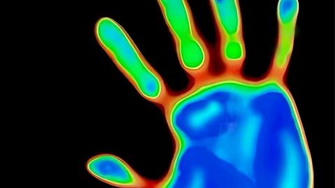 Truth of AK Owner absent - Unknown script preview