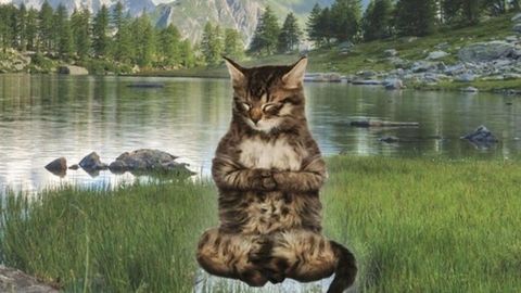 REQUEST Block people - Unknown script preview