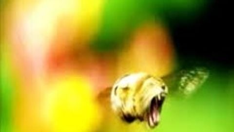 fullbright nofog - Unknown script preview