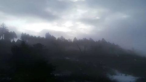 Prison Life Script FREE - Universal script preview