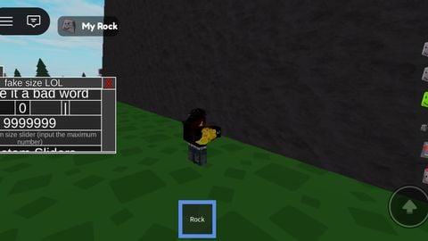 My p3t rock fe best script - Unknown script preview