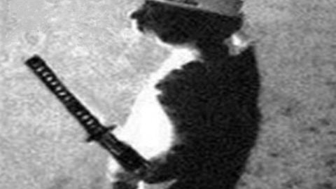 Uhh join if you are that one guy in my server - Unknown script preview