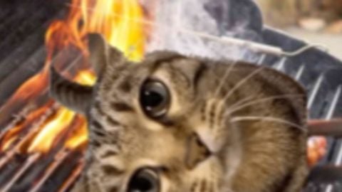 NPC gangsters Control multiple NPC - Unknown script preview