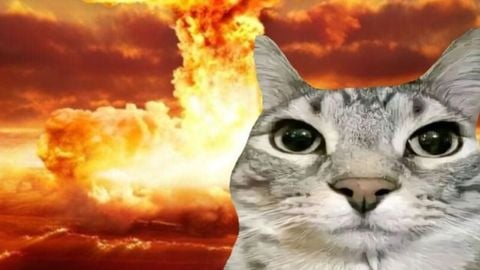 Ban hammer by hoangtt03 - Unknown script preview