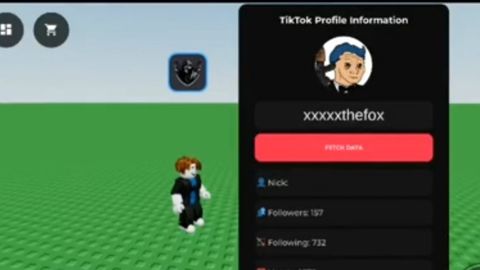 TikTok profile information - Unknown script preview