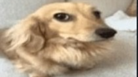 NoRender - Unknown script preview