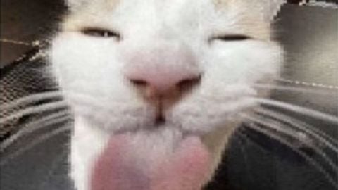 PLAYER ESP - Unknown script preview