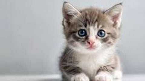 ARUSCRIPT - Unknown script preview